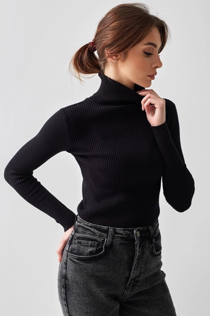 Slim Knit Turtleneck Sweater
