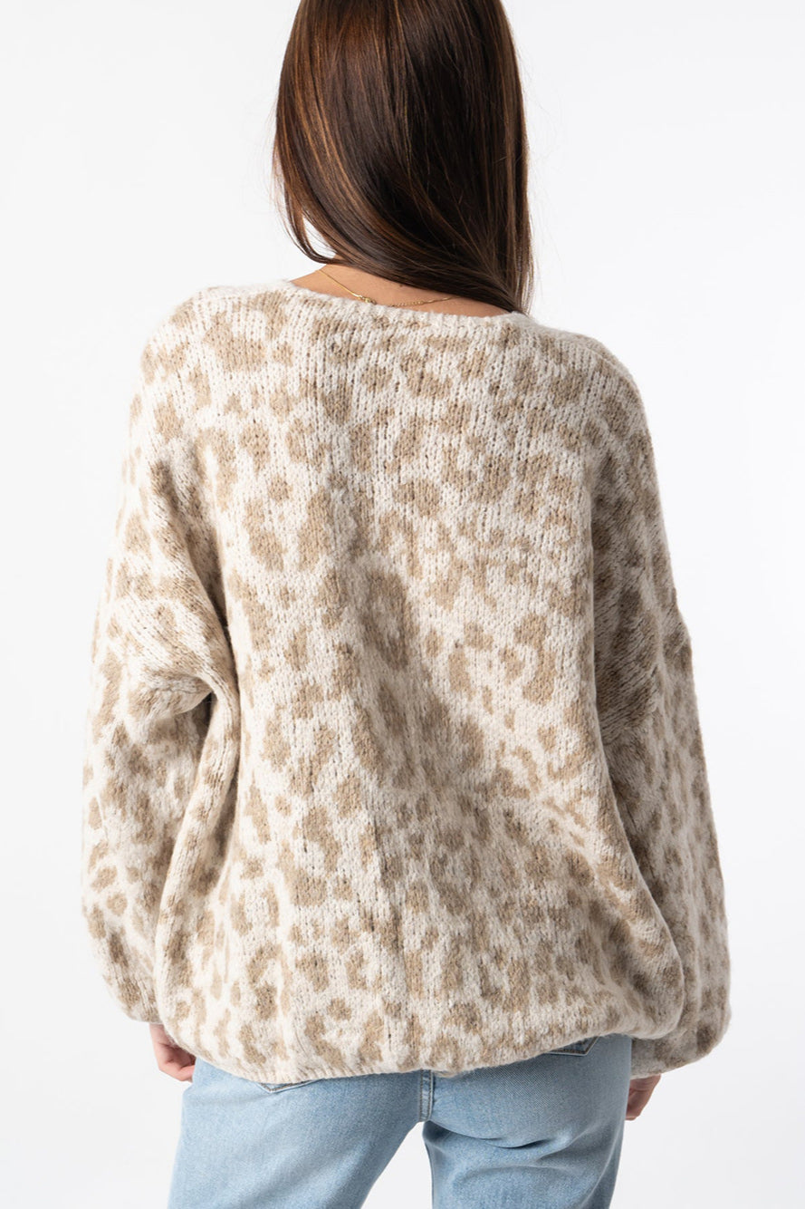 Relaxed Colorblock Cardigan