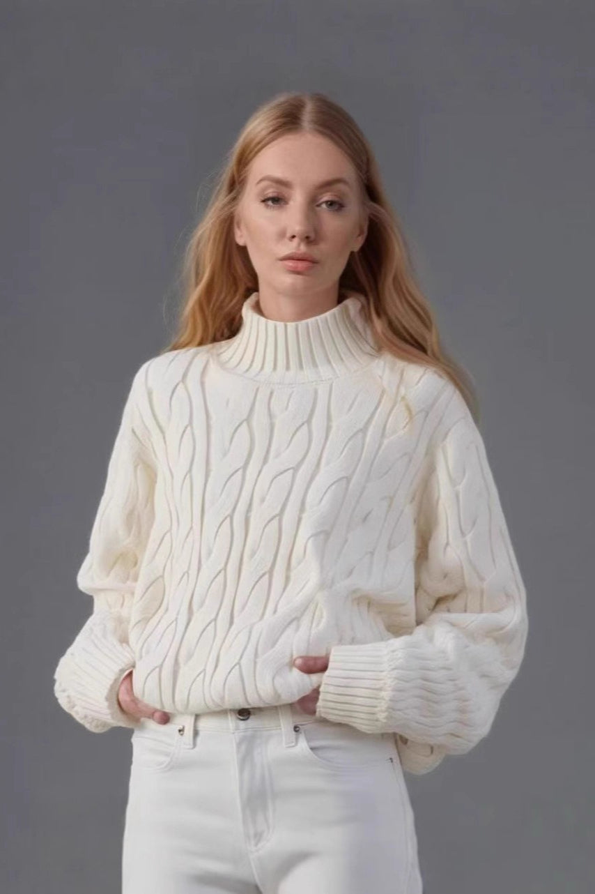 Warm Half Neck Cable Sweater