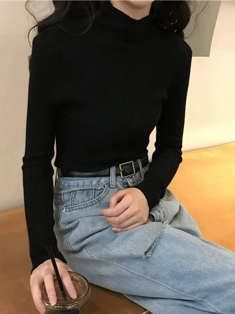 Warm Knit Long Sleeve Pullover Sweater