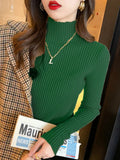 Solid Knit Turtleneck Pullover Sweater