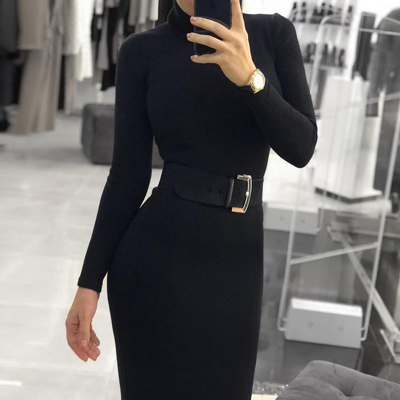 Turtleneck Long Sleeve Chic Midi Dress