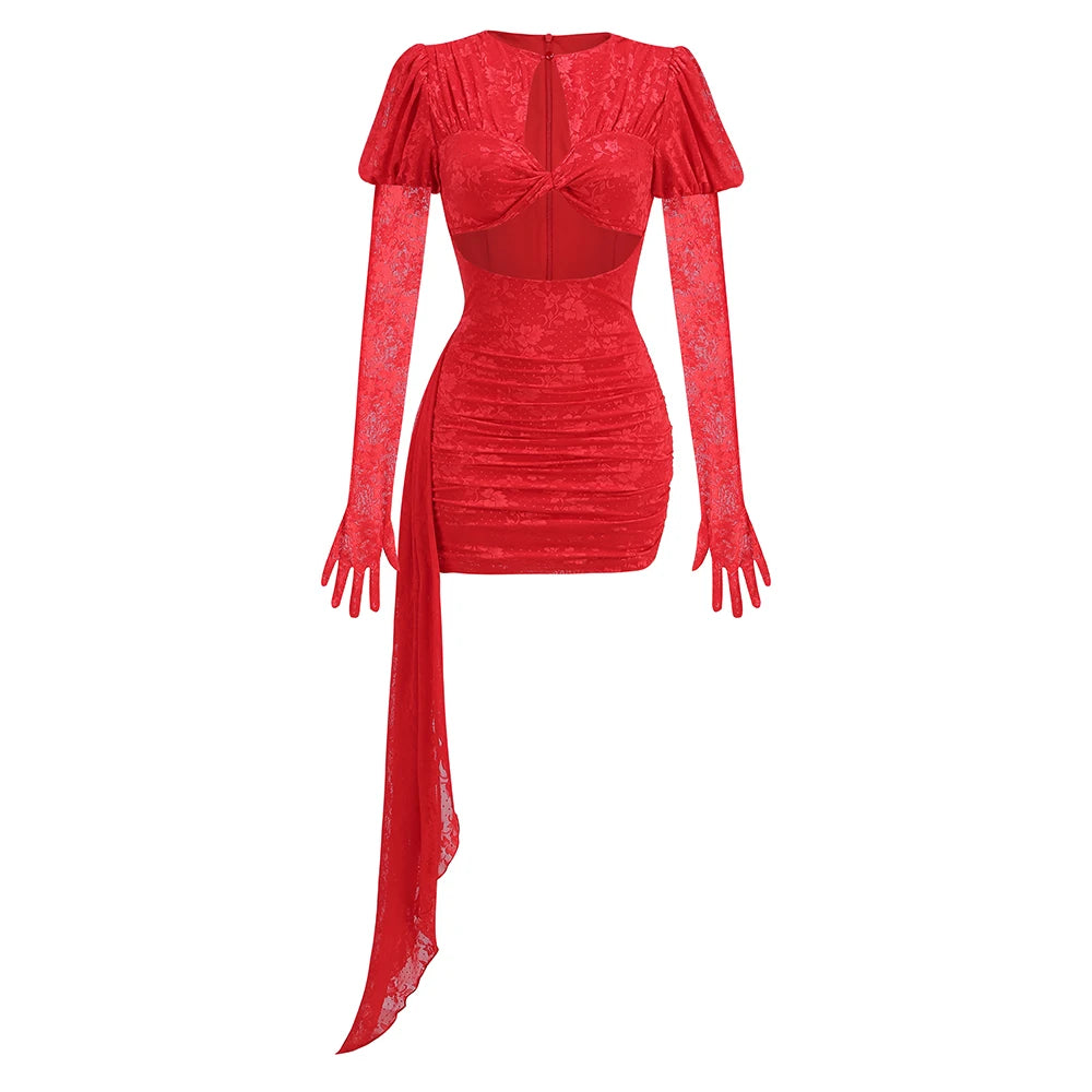 Lace Fitted Mini Sleek Party Dress