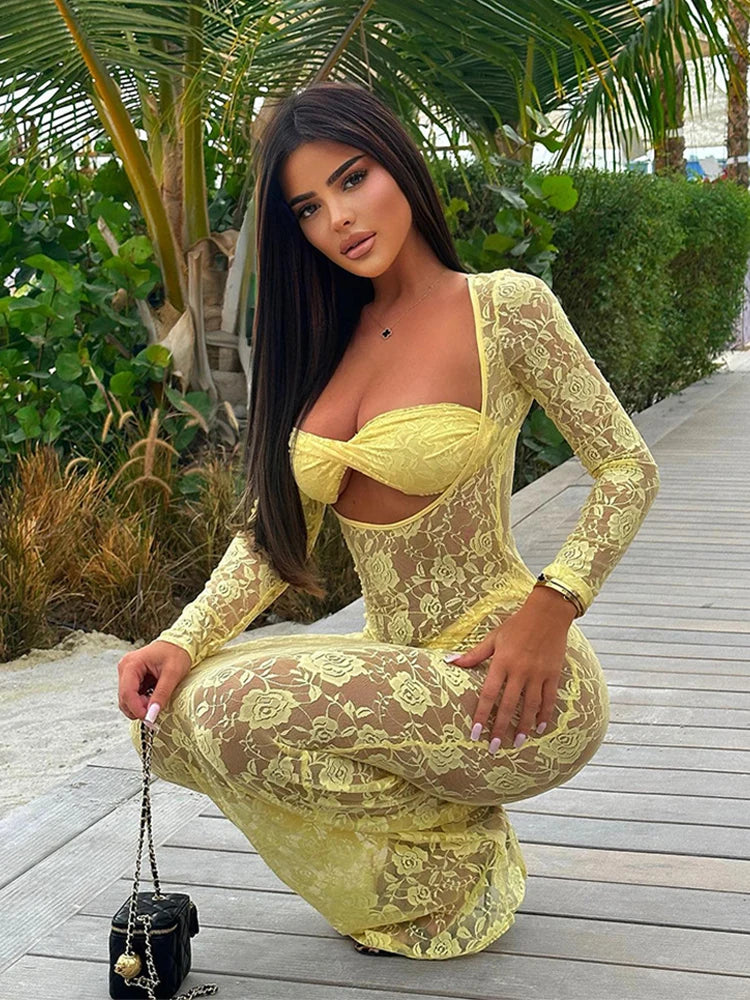 Lace Hollow Out Bodycon Perspective Maxi Dress