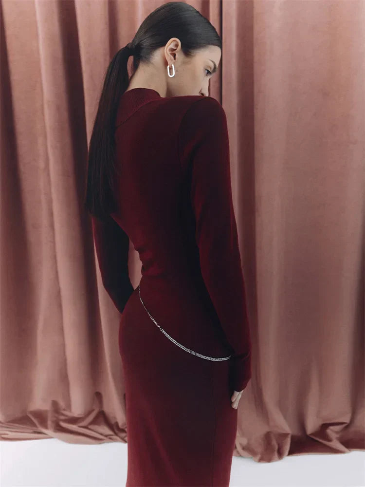 Turtleneck Slim Long Sleeve Maxi Dress