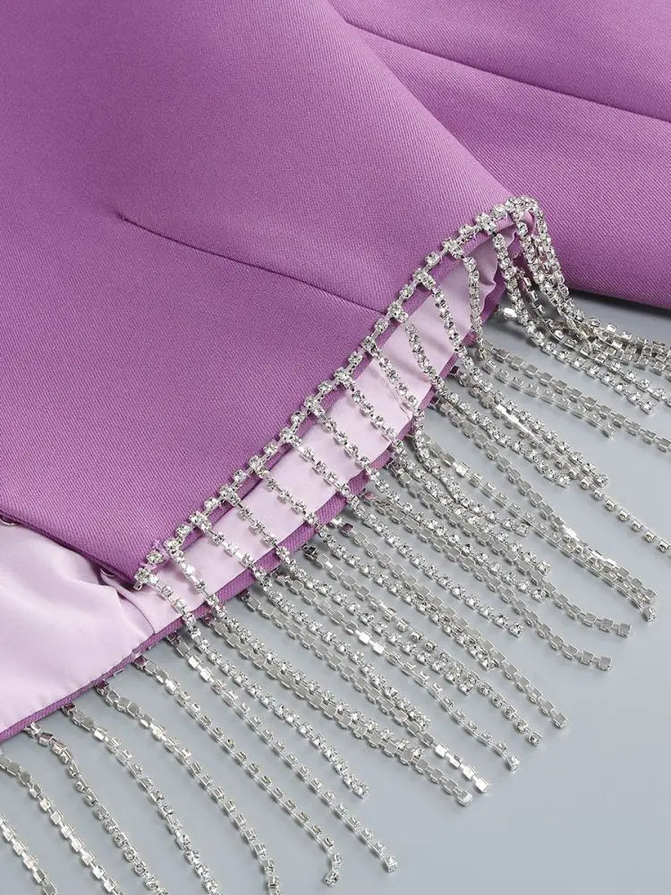 Purple Tassel Skirt Long Sleeve Jacket Mini Dress