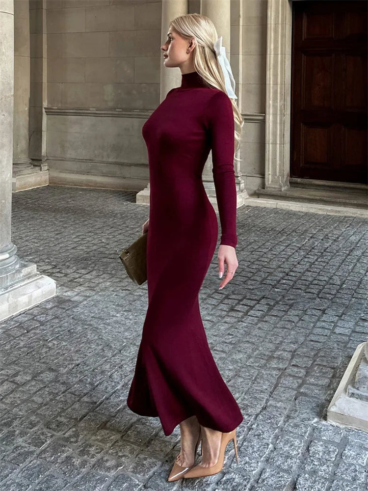 Turtleneck Slim Long Sleeve Maxi Dress