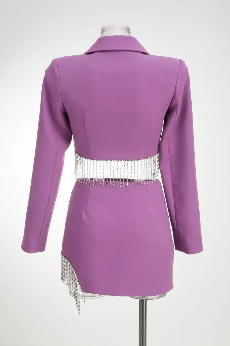 Purple Tassel Skirt Long Sleeve Jacket Mini Dress