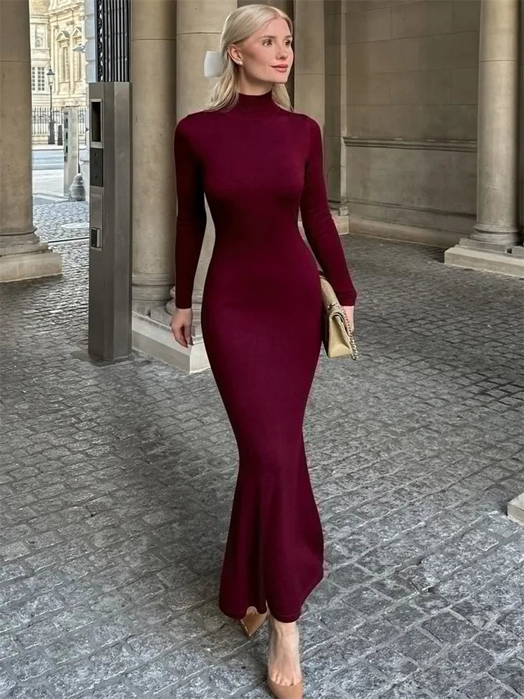 Turtleneck Slim Long Sleeve Maxi Dress