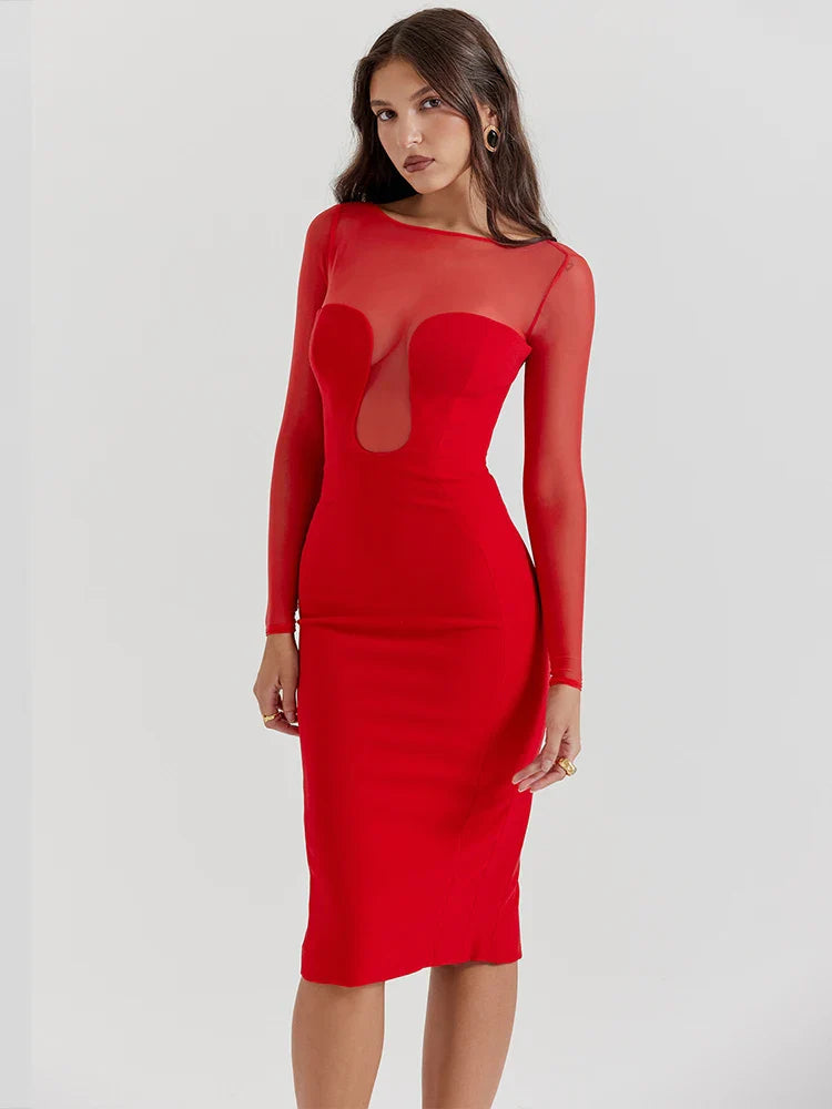 Mesh Slim Elegant Long Sleeve Midi Dress