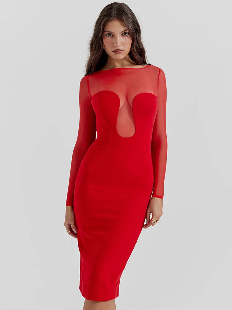 Mesh Slim Elegant Long Sleeve Midi Dress