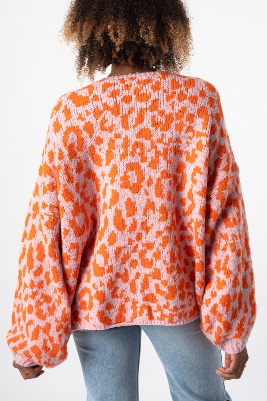 Relaxed Colorblock Cardigan