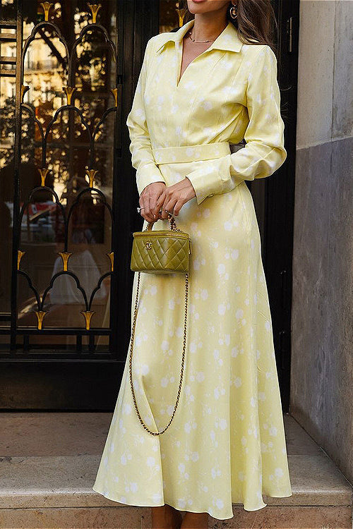 V Neck Long Sleeve Printed A Line Floral Dress