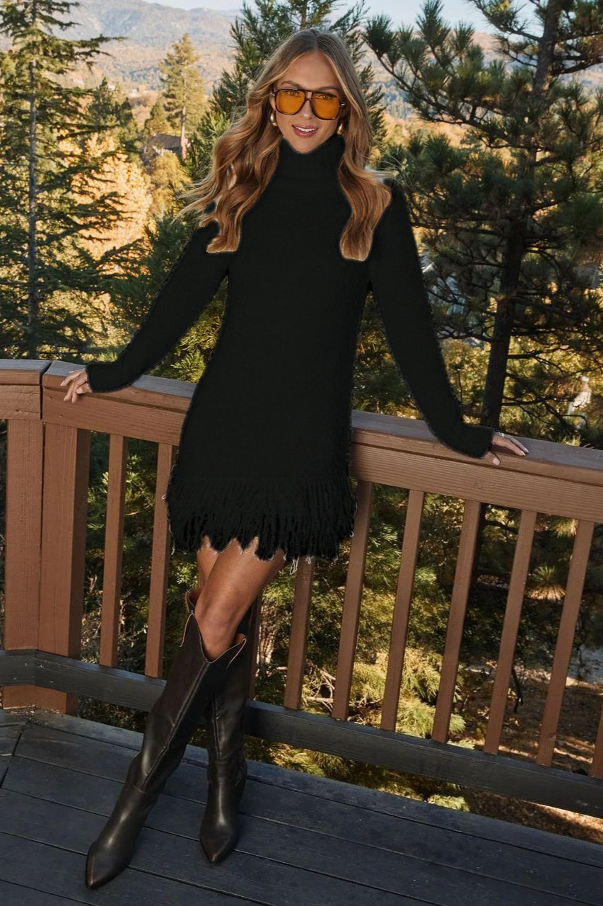 Loose Fringe Turtleneck Sweater