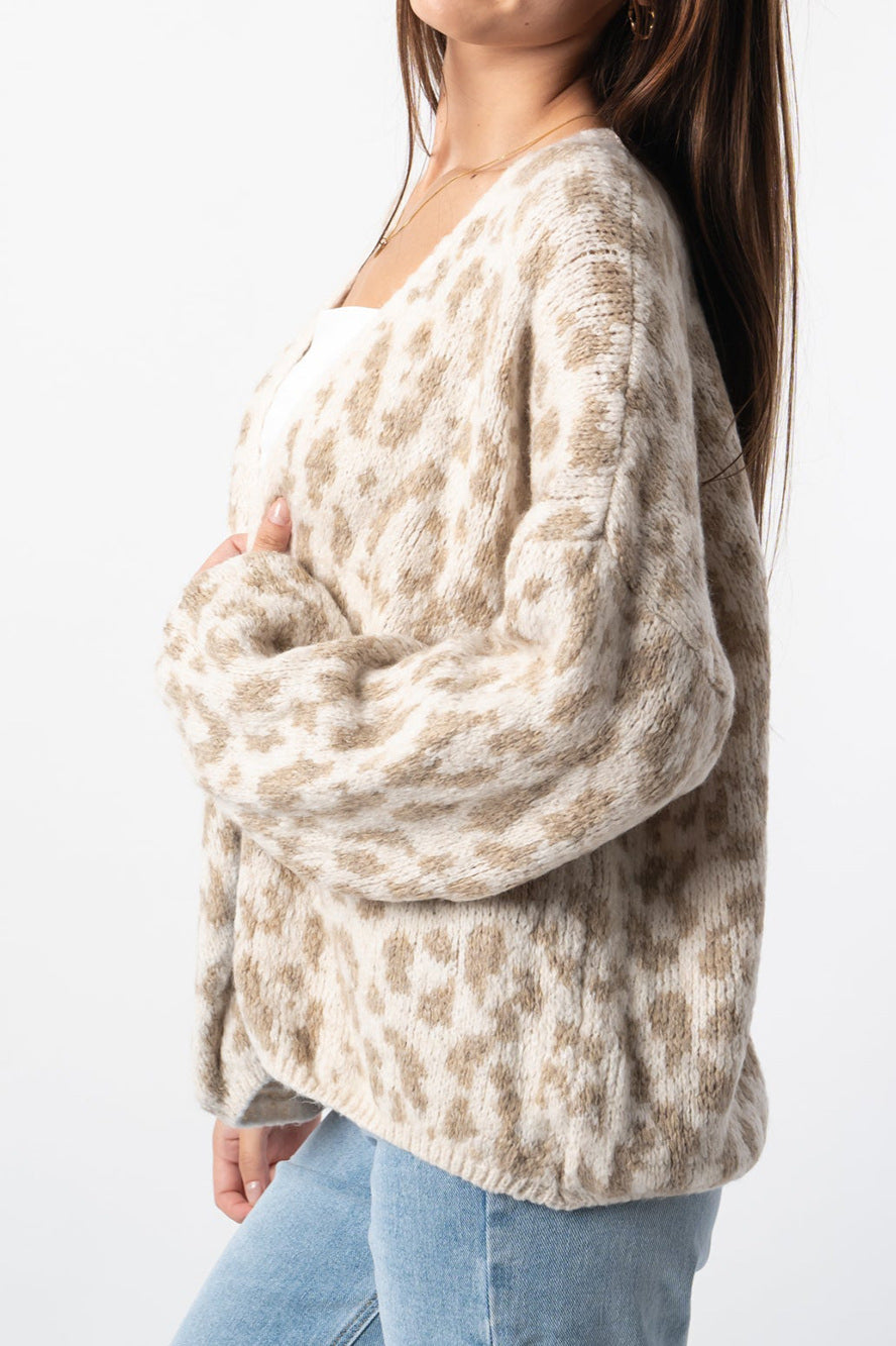 Relaxed Colorblock Cardigan