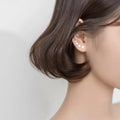 Dainty Star Ear Crawler Earring
