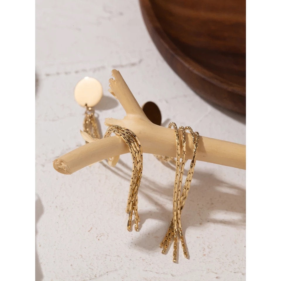 Disc Tassel Long Dangle Drop Earring